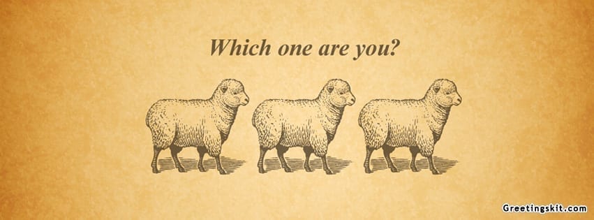 follow-like-sheep-facebook-cover.jpg