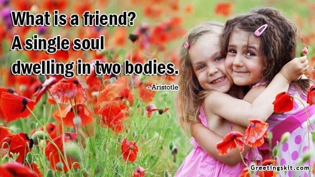 What is a friend? - Picture Quote