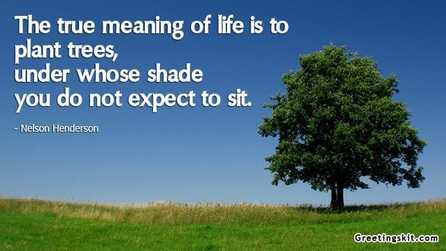 True Meaning Of Life Picture Quote