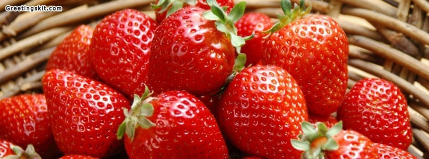 Strawberries Facebook Timeline Cover