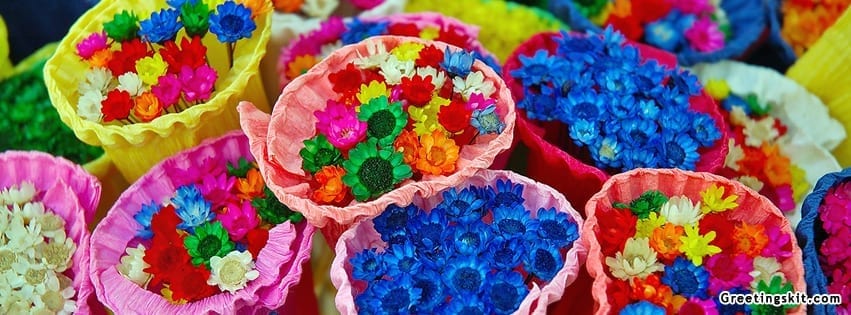 Colorful Flowers Facebook Timeline Cover Image