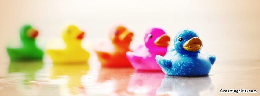 Colorful Ducks Facebook Timeline Cover