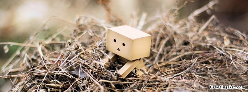 Danbo In A Nest FB Timeline Cover