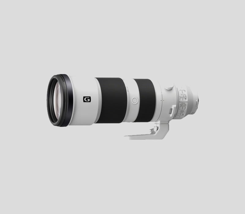 Sony FE 200-600mm f/5.6-6.3 G OSS Lens SEL200600G Review