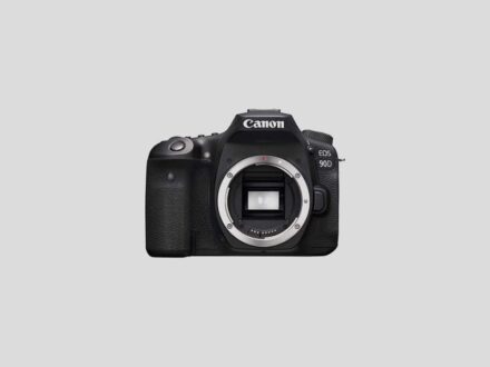 Canon EOS 90D Review