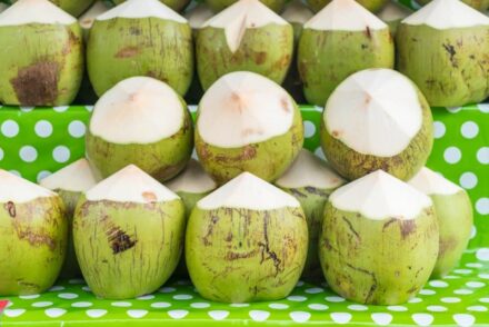 Coconut Water vs Coconut Milk