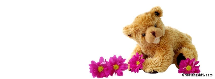 Cute Teddy Bear Facebook Timeline Cover