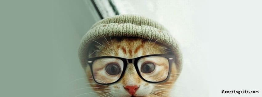 Hipster Kitten Facebook Timeline Cover