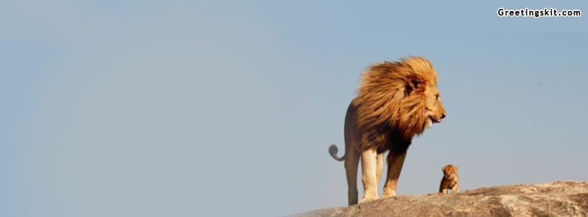 Real Life Lion King Facebook Timeline Cover